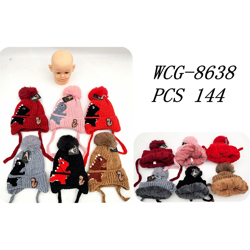 WCG-8638 CS144